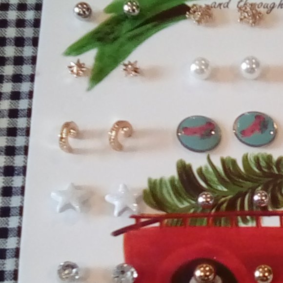 20-Piece Christmas Earring Set - Picture 2 of 4